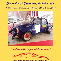 Rassemblement voitures collections/prestige