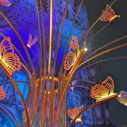 Rayonances - Parcours lumineux
