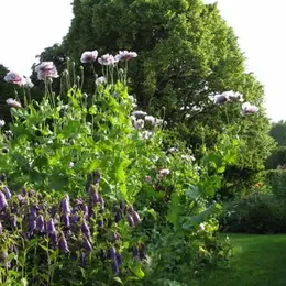 RDV aux Jardins