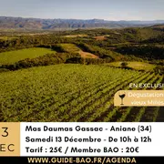 Rdv Gourmand D'Exception - Mas De Daumas Gassac