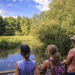 RDV nature 64, promenade en paysages d'eaux