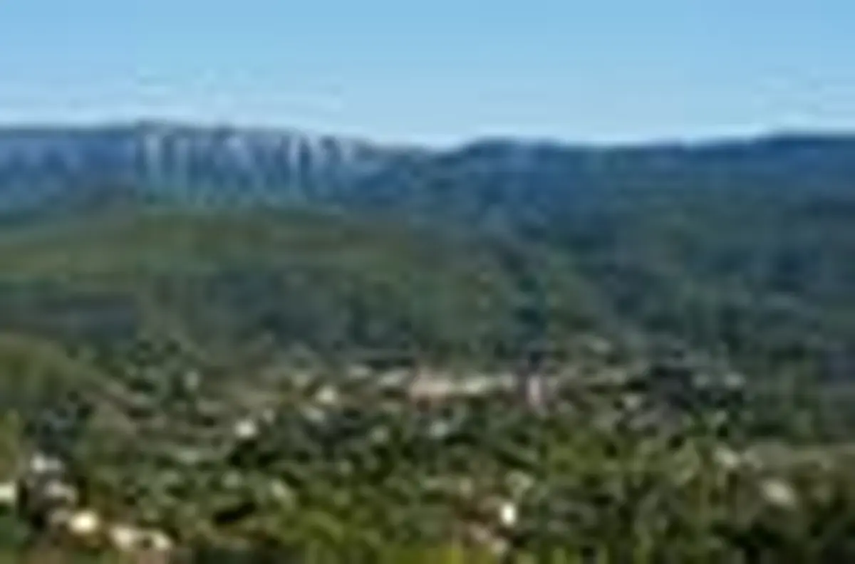 #RDVDUPARC • Permanence de conseil en architecture, paysage et urbanisme