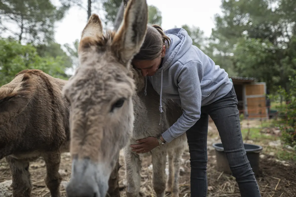 #RDVduParc • Sortie à l'asinerie