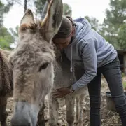 #RDVduParc • Sortie à l'asinerie