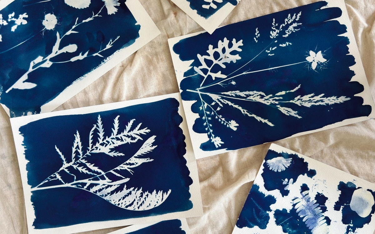 Réalisez votre cyanotype botanique !