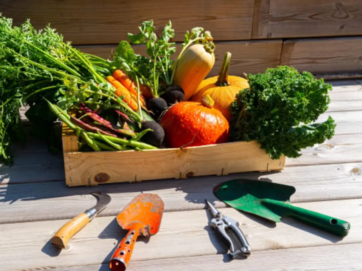 Réalisez votre potager en permaculture à Annecy (74)