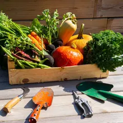 Réalisez votre potager en permaculture à Annecy (74)