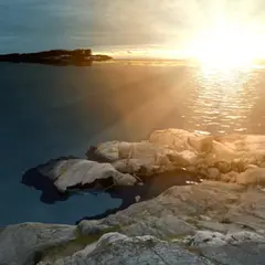 Réalité virtuelle : VR ARTE Le Soleil d'Edvard Munch