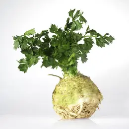 Recette de la purée de céleri