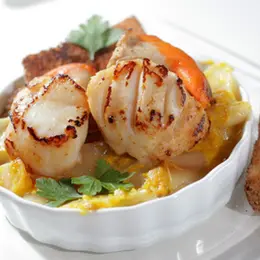 Recette des Coquilles Saint-Jacques aux dés de céleri-rave