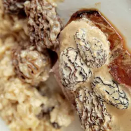 Recette simple de veau aux morilles