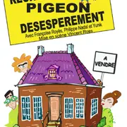 Recherche pigeon désespérément