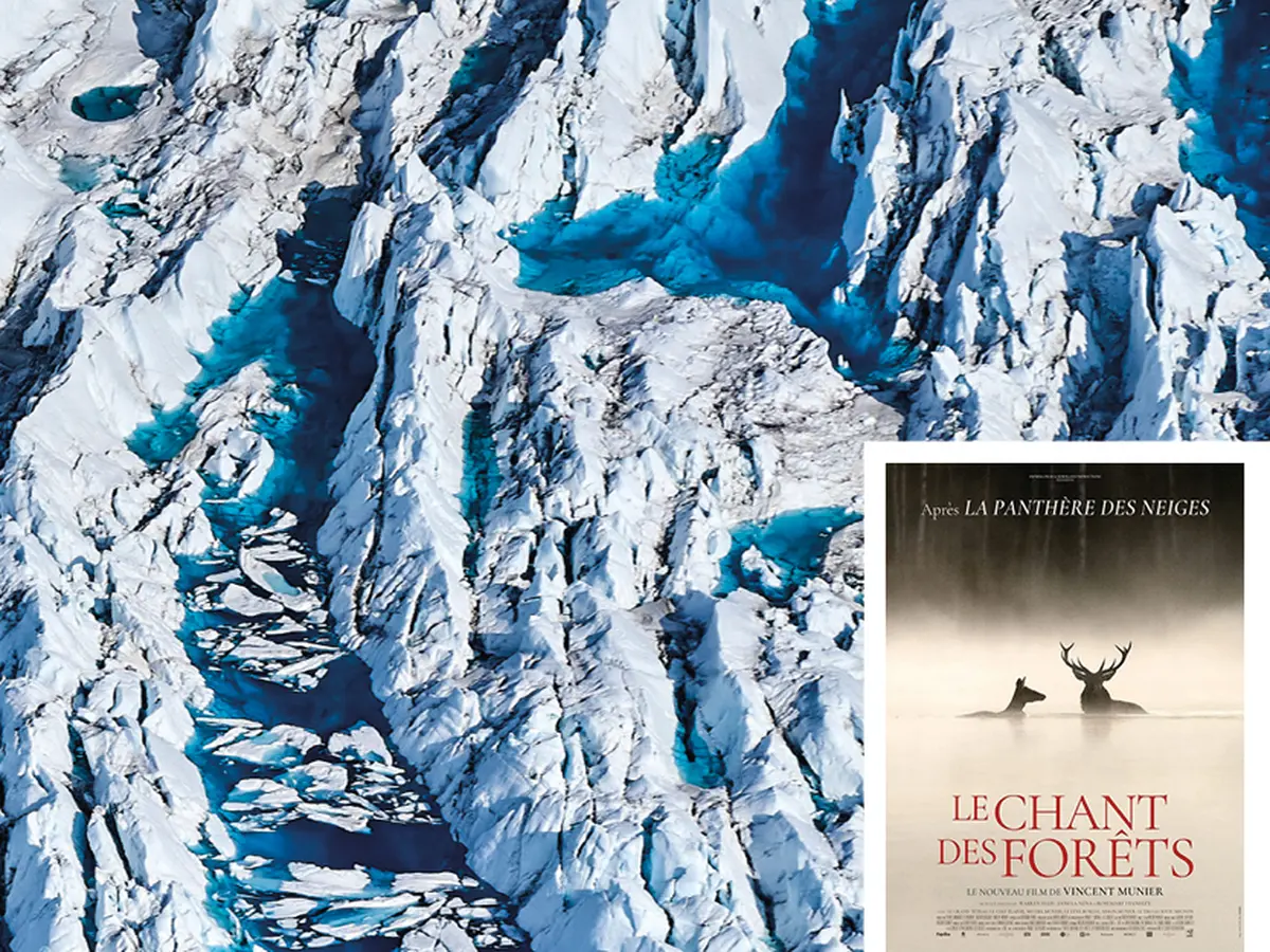 Récits polaires : Explorations d’hier et d’aujourd’hui