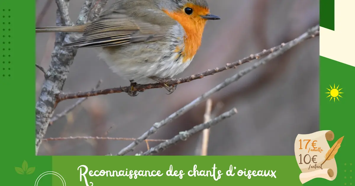 Reconnaissance des chants d’oiseaux Tavers 2026 date, horaires — free download