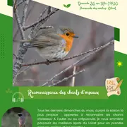 Reconnaissance des chants d’oiseaux