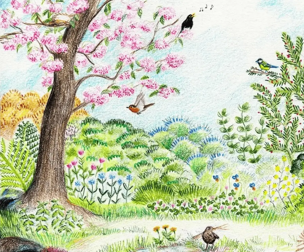 Reconnaissance des chants d’oiseaux à Lestiou