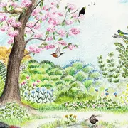 Reconnaissance des chants d’oiseaux à Lestiou