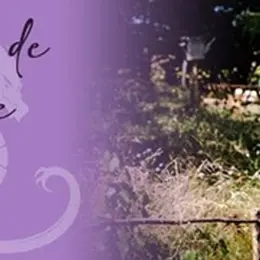 Reconnaissance et utilisation familiale des plantes