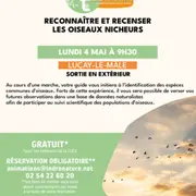 Reconnaître et recenser les oiseaux nicheurs