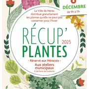 Récup'plantes