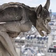 Redécouvrir Notre Dame de Paris après sa restauration