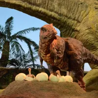 Les dinosaures font leur show &copy; GONDWANA - Das Praehistorium