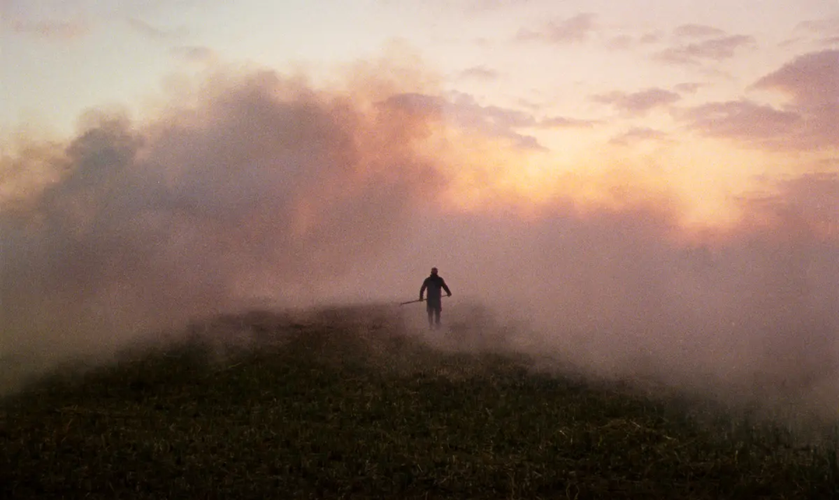 Reedland - La perle du mois