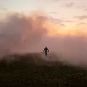 Reedland - La perle du mois