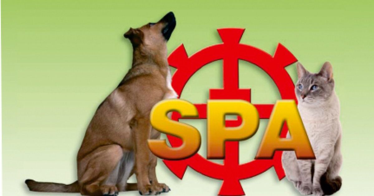 SPA de Mulhouse, refuge pour animaux chiens et chats à