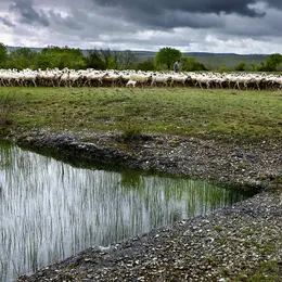 Regards croisés sur le paysage et la biodiversité du Mont Saint-Cyr