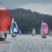 Régate : Coupes des cap-horniers