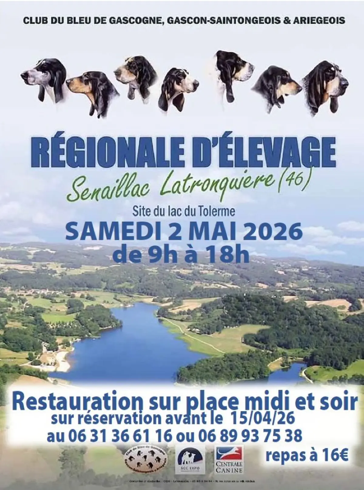 Régionale d’élevage de chiens au lac du Tolerme