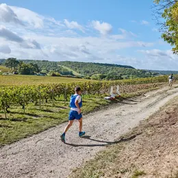 Où sortir à Reims ce week-end du 9 au 11 octobre 2026 ? Notre top 8