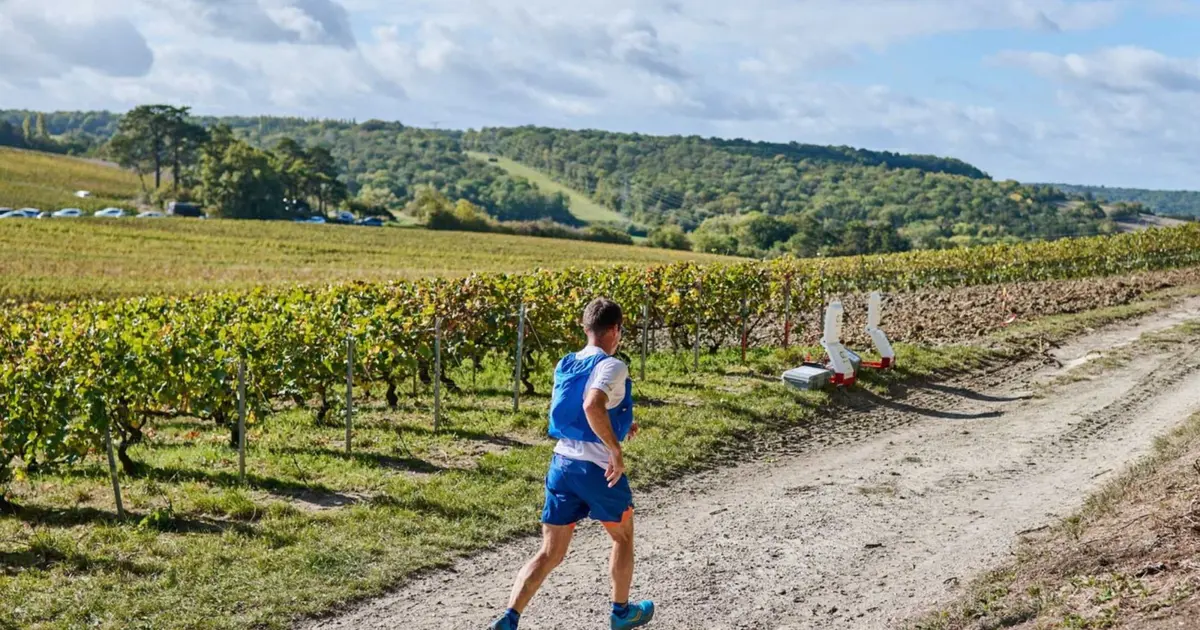 Reims Champagne Run