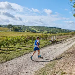 Reims Champagne Run 2026
