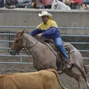 5 ranchs pour devenir un cow-boy alsacien !