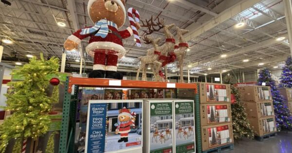Rejoignez le club d&egrave;s maintenant : L'automne et les f&ecirc;tes arrivent chez Costco Mulhouse