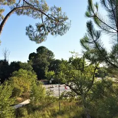 Relais nature - Que nous racontent les fossiles