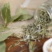Remède à base de plantes : fabrication d'un onguent - Ferme-musée du Cotentin