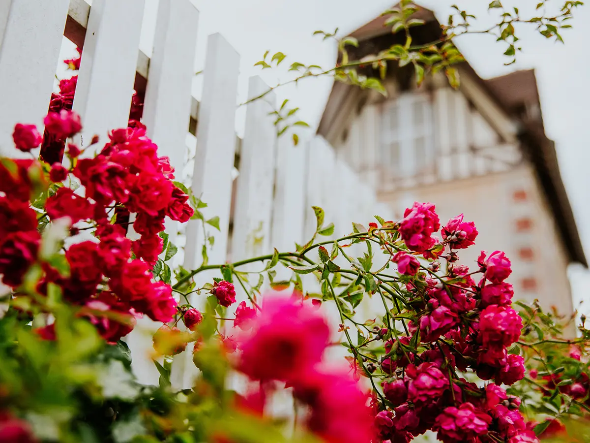 Remise des prix : Concours des Maisons et Balcons Fleuris