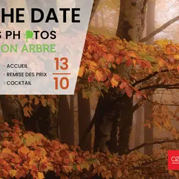 Remise des prix Concours photos Mon Arbre