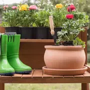 Rencontre autour du jardinage