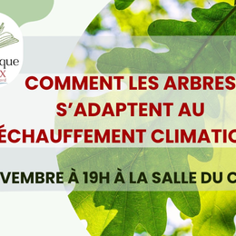 Rencontre avec Antoine Kremer