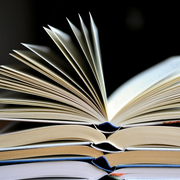 Rencontre avec Edmond Baudoin.