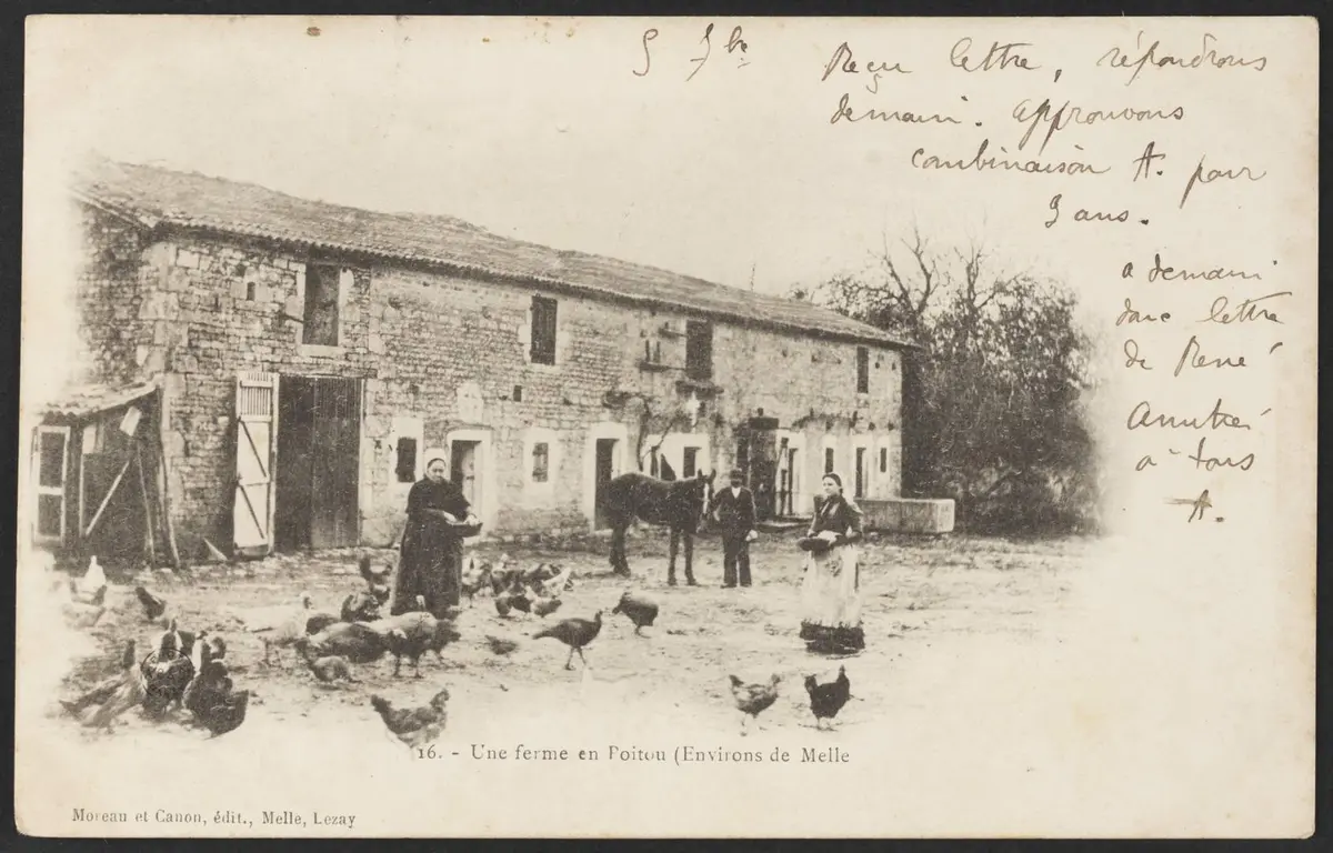 Rencontre avec la Poulpe Pictave aux Archives départementales des Deux-Sèvres à Niort