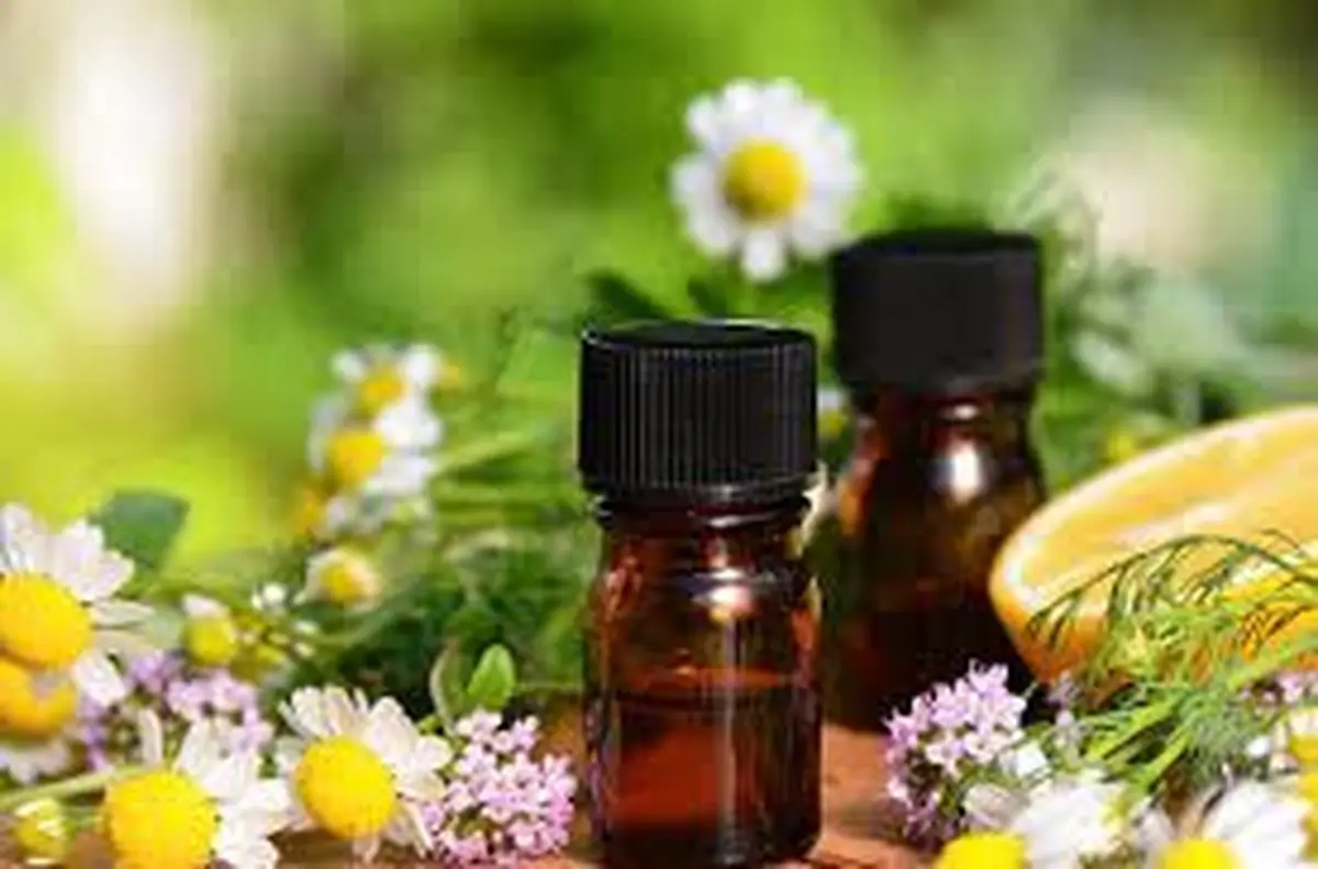 Rencontre avec les acteurs du bien-être à Pinsac