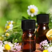 Rencontre avec les acteurs du bien-être à Pinsac