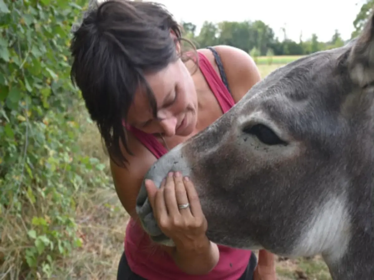 Rencontre avec les ânes refugiés de Gaza à la ferme des 4 saisons (38)