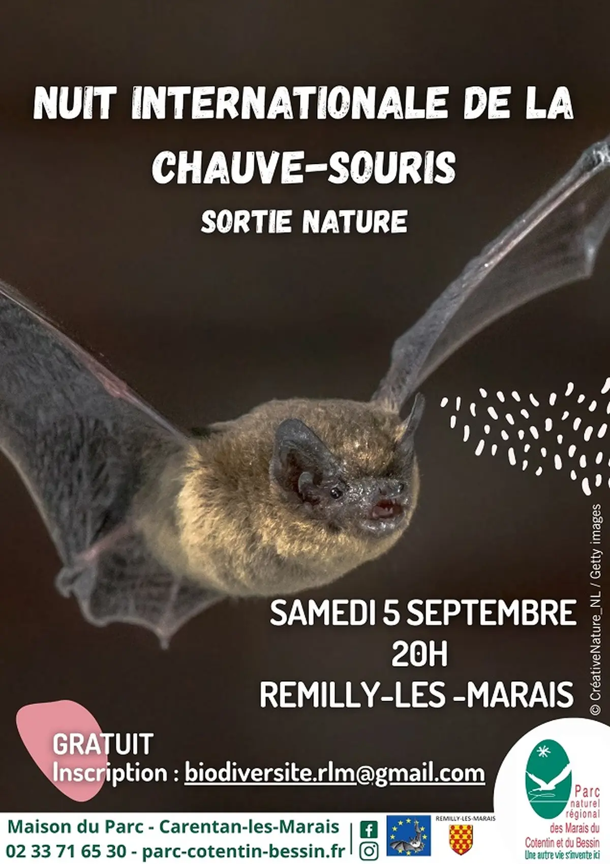 Rencontre avec les chauves-souris