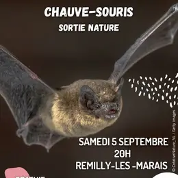 Rencontre avec les chauves-souris